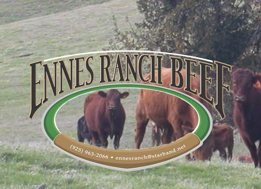 Free Ranging Cattle